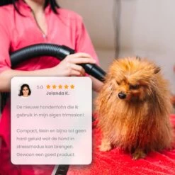 Qumax Professionele Hondenföhn Met 4 Opzetstukken – Waterblazer Voor Honden – Stil Design – Compact En Modern - Zwart 17 Qumax Professionele Hondenföhn Met 4 Opzetstukken – Waterblazer Voor Honden – Stil Design – Compact En Modern - Zwart -Huisdier Verkoop 1200x1200 423