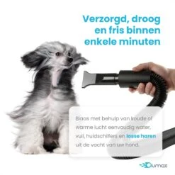 Qumax Professionele Hondenföhn Met 4 Opzetstukken – Waterblazer Voor Honden – Stil Design – Compact En Modern - Zwart 18 Qumax Professionele Hondenföhn Met 4 Opzetstukken – Waterblazer Voor Honden – Stil Design – Compact En Modern - Zwart -Huisdier Verkoop 1200x1200 424