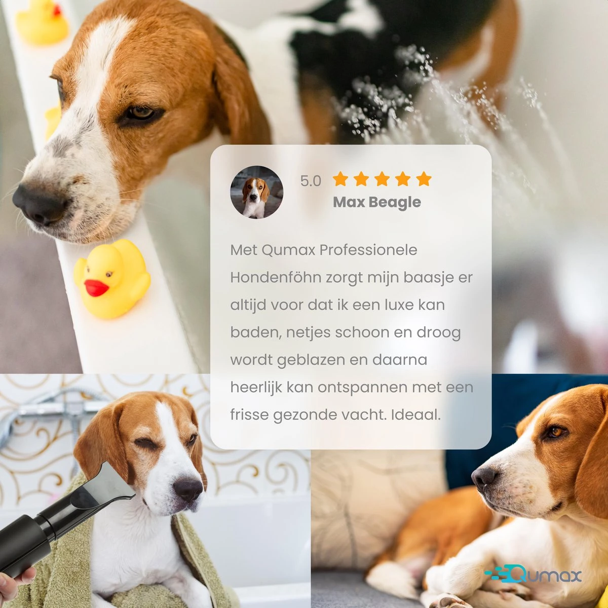 Qumax Professionele Hondenföhn Met 4 Opzetstukken – Waterblazer Voor Honden – Stil Design – Compact En Modern - Zwart 11 Qumax Professionele Hondenföhn Met 4 Opzetstukken – Waterblazer Voor Honden – Stil Design – Compact En Modern - Zwart - Afbeelding 9