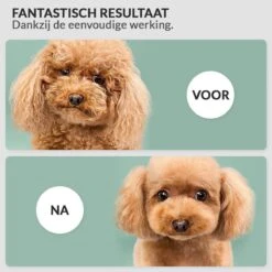 Hondenföhn/Waterblazer - Verstelbare Vermogen Standen (500W Tot 2400W) En Verstelbare Temperatuur - Zwart 15 Hondenföhn/Waterblazer - Verstelbare Vermogen Standen (500W Tot 2400W) En Verstelbare Temperatuur - Zwart -Huisdier Verkoop 1200x1200 429