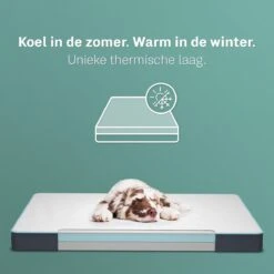 CozySense® - Orthopedisch Hondenkussen - Hondenkussen 90 X 55 Cm - Ook Geschikt Als Benchkussen & Hondenbed - Hondenkussen Bank - Traagschuim - Waterdicht - Wasbare Hoes - Maat L 13 CozySense® - Orthopedisch Hondenkussen - Hondenkussen 90 X 55 Cm - Ook Geschikt Als Benchkussen & Hondenbed - Hondenkussen Bank - Traagschuim - Waterdicht - Wasbare Hoes - Maat L -Huisdier Verkoop 1200x1200 44