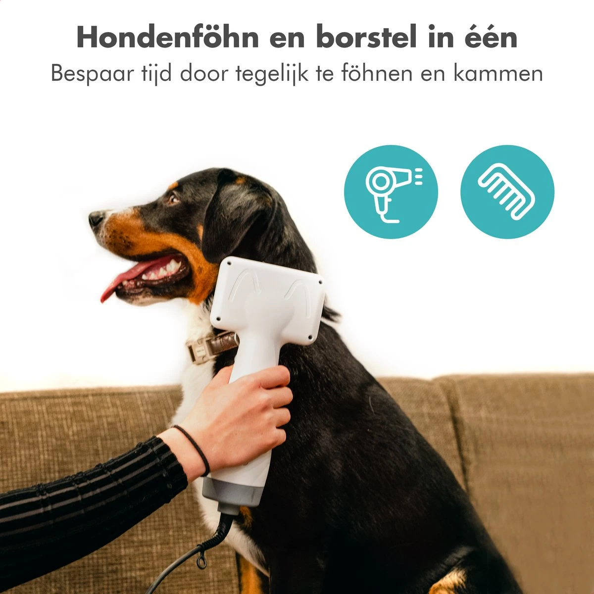 BURCH PetCare Ace - Waterblazer Voor Honden - Handzame Hondenföhn - RVS Borstel - 500W 9 BURCH PetCare Ace - Waterblazer Voor Honden - Handzame Hondenföhn - RVS Borstel - 500W - Afbeelding 7