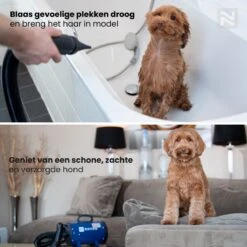 Nuvoo Professionele Hondenföhn / Waterblazer / Hondenborstel Met 3 Opzetstukken - Verstelbare Vermogen Tot 2200W - Warme / Koude Stand - Roze -Huisdier Verkoop 1200x1200 444