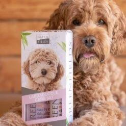 Greenfields Labradoodle Vacht Verzorgingsset - Shampoo En Anti-Klit Spray Voor Langharige Of Krullende Vacht 16 Greenfields Labradoodle Vacht Verzorgingsset - Shampoo En Anti-Klit Spray Voor Langharige Of Krullende Vacht -Huisdier Verkoop 1200x1200 464