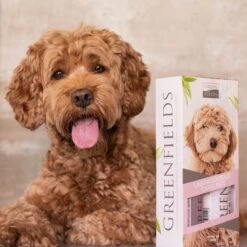 Greenfields Labradoodle Vacht Verzorgingsset - Shampoo En Anti-Klit Spray Voor Langharige Of Krullende Vacht 17 Greenfields Labradoodle Vacht Verzorgingsset - Shampoo En Anti-Klit Spray Voor Langharige Of Krullende Vacht -Huisdier Verkoop 1200x1200 465