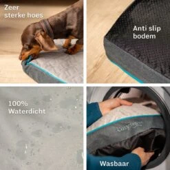 CozySense® - Orthopedisch Hondenkussen - Hondenkussen 90 X 55 Cm - Ook Geschikt Als Benchkussen & Hondenbed - Hondenkussen Bank - Traagschuim - Waterdicht - Wasbare Hoes - Maat L 16 CozySense® - Orthopedisch Hondenkussen - Hondenkussen 90 X 55 Cm - Ook Geschikt Als Benchkussen & Hondenbed - Hondenkussen Bank - Traagschuim - Waterdicht - Wasbare Hoes - Maat L -Huisdier Verkoop 1200x1200 47