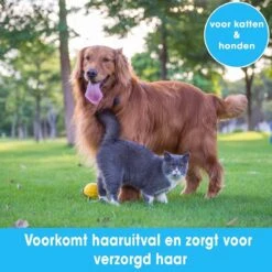 Professionele Ondervacht Kam Voor Hond En Kat S – Hondenborstel – Kattenborstel - Hondenkam –Anti Klit - Haarverwijderaar Voor Huisdieren - Pijnloos - Huisdiervriendelijk – Klittenkam - Voorkomt Haaruitval - Kleine Variant- Black Friday - Sinterklaas 9 Professionele Ondervacht Kam Voor Hond En Kat S – Hondenborstel – Kattenborstel - Hondenkam –Anti Klit - Haarverwijderaar Voor Huisdieren - Pijnloos - Huisdiervriendelijk – Klittenkam - Voorkomt Haaruitval - Kleine Variant- Black Friday - Sinterklaas -Huisdier Verkoop 1200x1200 517