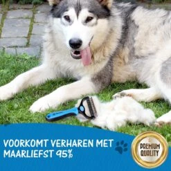 Hoogwaardige 2-Zijdige Hondenkam Hondenborstel Borstel Hond Klittenkam - Ondervacht Kam - Honden Borstel - Honden Kam - Hondenborstel Langharig - Hondenborstel Kortharig - Verwijdert Klitten - Voorkomt Verharing - Blauw - Woodoro -Huisdier Verkoop 1200x1200 534