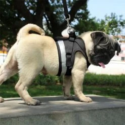 Hondentuig, Hondenharnas Met Hondenriem – Reflecterend - Zwart – Maat M (borst 35-40 Cm) -Huisdier Verkoop 1200x1200 54