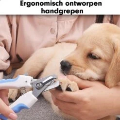 Professionele Nagelschaar|Nagelschaar Hond | Nagelschaar Kat| Nagelknipper Hond En Kat| Nagelknipper Kat| Nagelknipper Hond|NagelTang Dieren|Poot Verzorging 15 Professionele Nagelschaar|Nagelschaar Hond | Nagelschaar Kat| Nagelknipper Hond En Kat| Nagelknipper Kat| Nagelknipper Hond|NagelTang Dieren|Poot Verzorging -Huisdier Verkoop 1200x1200 567