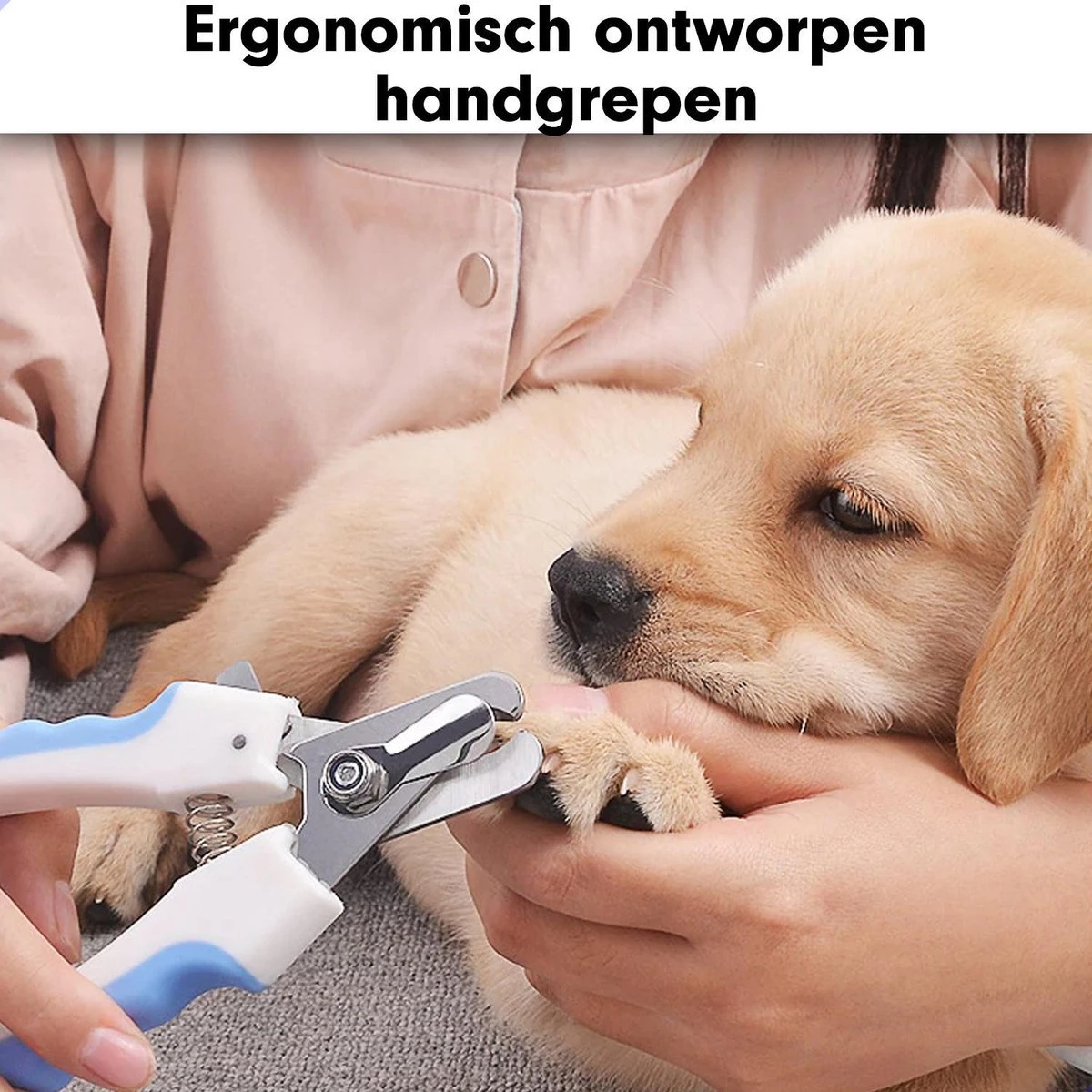Professionele Nagelschaar|Nagelschaar Hond | Nagelschaar Kat| Nagelknipper Hond En Kat| Nagelknipper Kat| Nagelknipper Hond|NagelTang Dieren|Poot Verzorging 5 Professionele Nagelschaar|Nagelschaar Hond | Nagelschaar Kat| Nagelknipper Hond En Kat| Nagelknipper Kat| Nagelknipper Hond|NagelTang Dieren|Poot Verzorging - Afbeelding 3