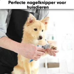 Professionele Nagelschaar|Nagelschaar Hond | Nagelschaar Kat| Nagelknipper Hond En Kat| Nagelknipper Kat| Nagelknipper Hond|NagelTang Dieren|Poot Verzorging 17 Professionele Nagelschaar|Nagelschaar Hond | Nagelschaar Kat| Nagelknipper Hond En Kat| Nagelknipper Kat| Nagelknipper Hond|NagelTang Dieren|Poot Verzorging -Huisdier Verkoop 1200x1200 569