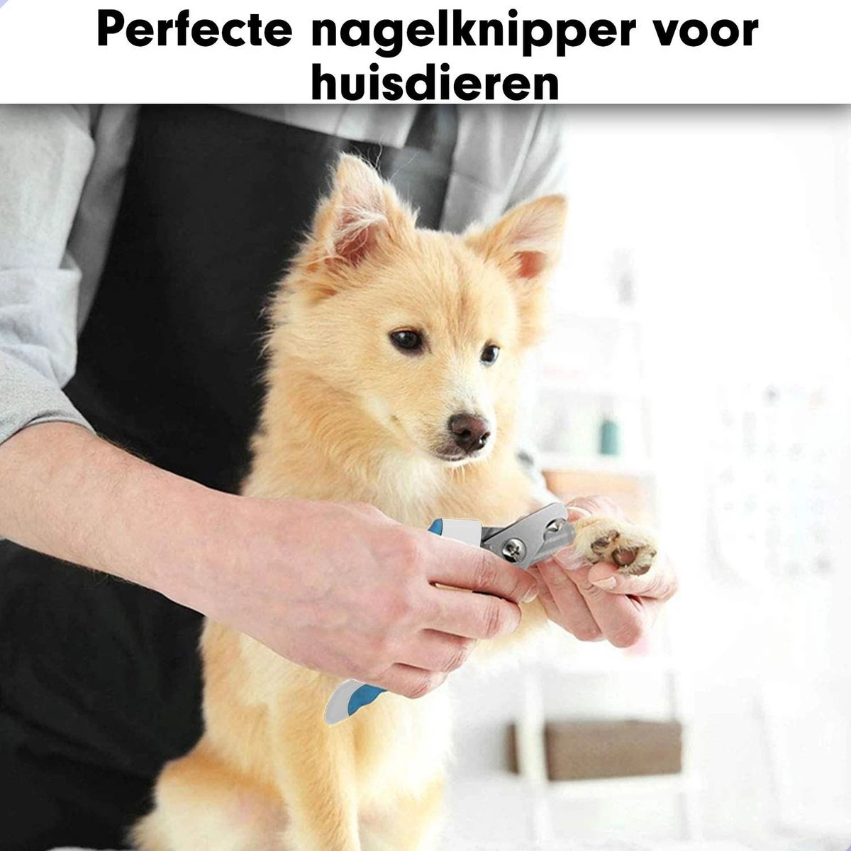 Professionele Nagelschaar|Nagelschaar Hond | Nagelschaar Kat| Nagelknipper Hond En Kat| Nagelknipper Kat| Nagelknipper Hond|NagelTang Dieren|Poot Verzorging 7 Professionele Nagelschaar|Nagelschaar Hond | Nagelschaar Kat| Nagelknipper Hond En Kat| Nagelknipper Kat| Nagelknipper Hond|NagelTang Dieren|Poot Verzorging - Afbeelding 5