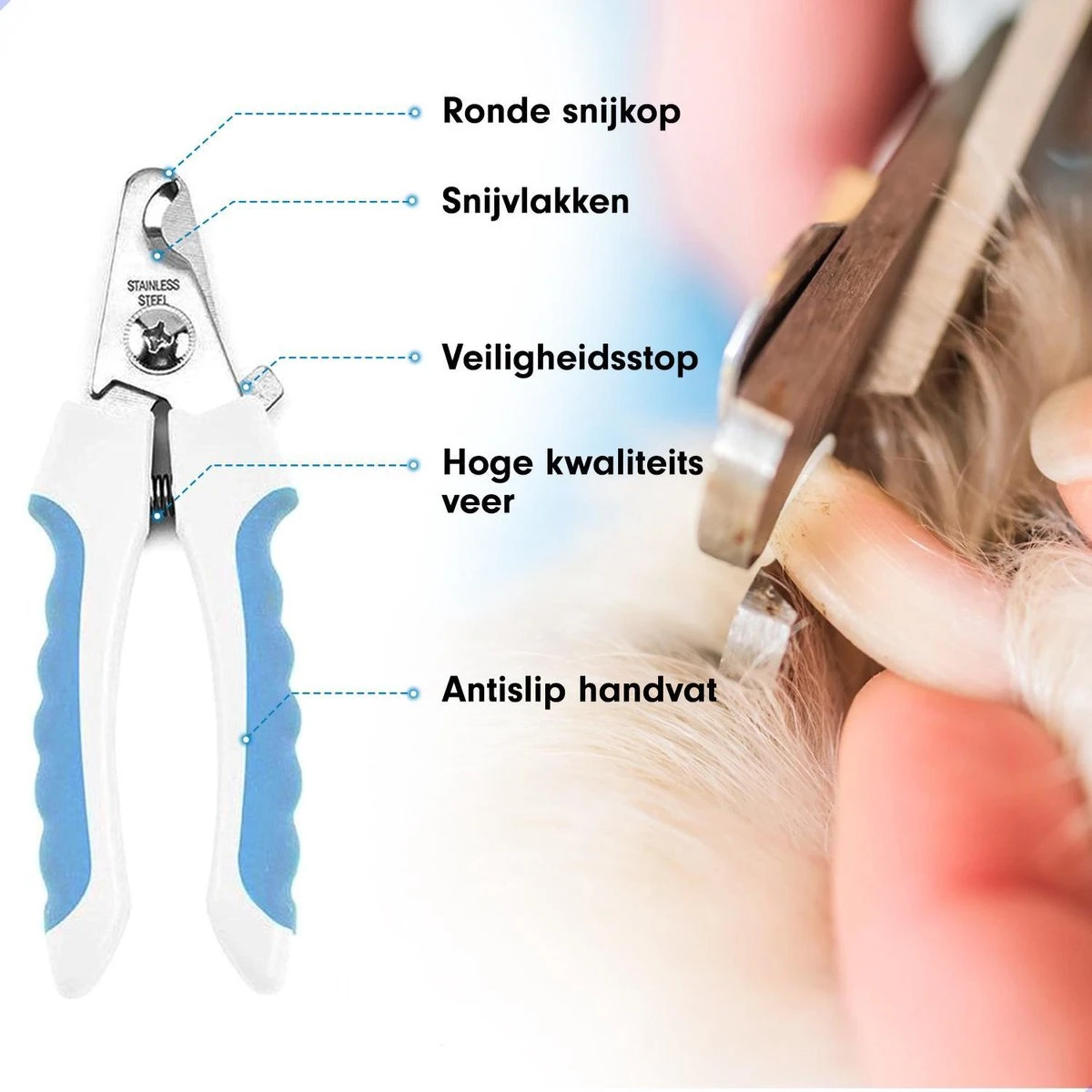 Professionele Nagelschaar|Nagelschaar Hond | Nagelschaar Kat| Nagelknipper Hond En Kat| Nagelknipper Kat| Nagelknipper Hond|NagelTang Dieren|Poot Verzorging 8 Professionele Nagelschaar|Nagelschaar Hond | Nagelschaar Kat| Nagelknipper Hond En Kat| Nagelknipper Kat| Nagelknipper Hond|NagelTang Dieren|Poot Verzorging - Afbeelding 6