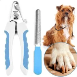 Professionele Nagelschaar|Nagelschaar Hond | Nagelschaar Kat| Nagelknipper Hond En Kat| Nagelknipper Kat| Nagelknipper Hond|NagelTang Dieren|Poot Verzorging 21 Professionele Nagelschaar|Nagelschaar Hond | Nagelschaar Kat| Nagelknipper Hond En Kat| Nagelknipper Kat| Nagelknipper Hond|NagelTang Dieren|Poot Verzorging -Huisdier Verkoop 1200x1200 572