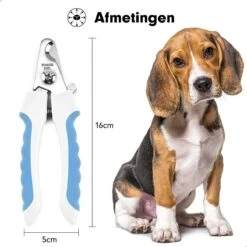 Professionele Nagelschaar|Nagelschaar Hond | Nagelschaar Kat| Nagelknipper Hond En Kat| Nagelknipper Kat| Nagelknipper Hond|NagelTang Dieren|Poot Verzorging 22 Professionele Nagelschaar|Nagelschaar Hond | Nagelschaar Kat| Nagelknipper Hond En Kat| Nagelknipper Kat| Nagelknipper Hond|NagelTang Dieren|Poot Verzorging -Huisdier Verkoop 1200x1200 573