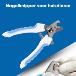 Professionele Nagelschaar|Nagelschaar Hond | Nagelschaar Kat| Nagelknipper Hond En Kat| Nagelknipper Kat| Nagelknipper Hond|NagelTang Dieren|Poot Verzorging 23 Professionele Nagelschaar|Nagelschaar Hond | Nagelschaar Kat| Nagelknipper Hond En Kat| Nagelknipper Kat| Nagelknipper Hond|NagelTang Dieren|Poot Verzorging -Huisdier Verkoop 1200x1200 574