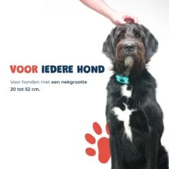 Anti Blafband - Blafband Voor Honden - Anti Blaf Apparaat - Blafband - Diervriendelijk & Zonder Schok 18 Anti Blafband - Blafband Voor Honden - Anti Blaf Apparaat - Blafband - Diervriendelijk & Zonder Schok -Huisdier Verkoop 1200x1200 619