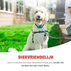 Anti Blafband - Blafband Voor Honden - Anti Blaf Apparaat - Blafband - Diervriendelijk & Zonder Schok 19 Anti Blafband - Blafband Voor Honden - Anti Blaf Apparaat - Blafband - Diervriendelijk & Zonder Schok -Huisdier Verkoop 1200x1200 620