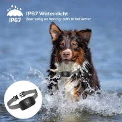 Salvano Anti Blafband - Blafband Voor Honden - Opvoedingshalsbanden - Voor Kleine En Grote Honden - Anti Blafband Zonder Schok- Oplaadbaar - Anti Blaf Apparaat - Blafband - Diervriendelijk -Huisdier Verkoop 1200x1200 627