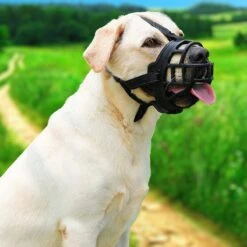 Sharon B Muilkorf Hond - Zwart - XXL - Voor Zeer Grote Honden - Snuitomtrek 38-43 Cm 16 Sharon B Muilkorf Hond - Zwart - XXL - Voor Zeer Grote Honden - Snuitomtrek 38-43 Cm -Huisdier Verkoop 1200x1200 651