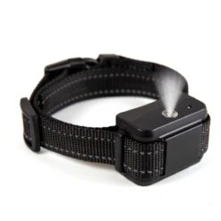 Anti Blafband - Met Spray Correctie! Diervriendelijke Training Voor Uw Hond! Furline® -Huisdier Verkoop 1200x1200 654