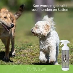 Nutrani Geurverwijderaar, 750 Ml, Natuurlijke Enzymreiniger Als Gebruiksklare Spray Met Biologische Werking, Verwijdert Geurtjes, Urine, Poep En Vlekken Van Honden En Katten -Huisdier Verkoop 1200x1200 665