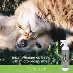 Nutrani Geurverwijderaar, 750 Ml, Natuurlijke Enzymreiniger Als Gebruiksklare Spray Met Biologische Werking, Verwijdert Geurtjes, Urine, Poep En Vlekken Van Honden En Katten -Huisdier Verkoop 1200x1200 666