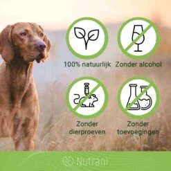 Nutrani Geurverwijderaar, 750 Ml, Natuurlijke Enzymreiniger Als Gebruiksklare Spray Met Biologische Werking, Verwijdert Geurtjes, Urine, Poep En Vlekken Van Honden En Katten -Huisdier Verkoop 1200x1200 667