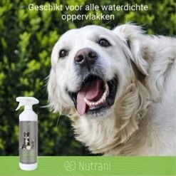 Nutrani Geurverwijderaar, 750 Ml, Natuurlijke Enzymreiniger Als Gebruiksklare Spray Met Biologische Werking, Verwijdert Geurtjes, Urine, Poep En Vlekken Van Honden En Katten -Huisdier Verkoop 1200x1200 668