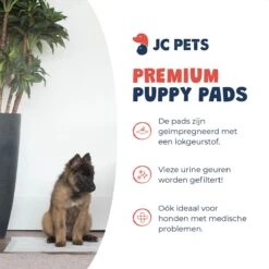 JC Pets Premium Puppy Training Pads - Hondentoilet - Zindelijkheidstraining Hond - 50 Stuks - 60 X 45 Cm 15 JC Pets Premium Puppy Training Pads - Hondentoilet - Zindelijkheidstraining Hond - 50 Stuks - 60 X 45 Cm -Huisdier Verkoop 1200x1200 691