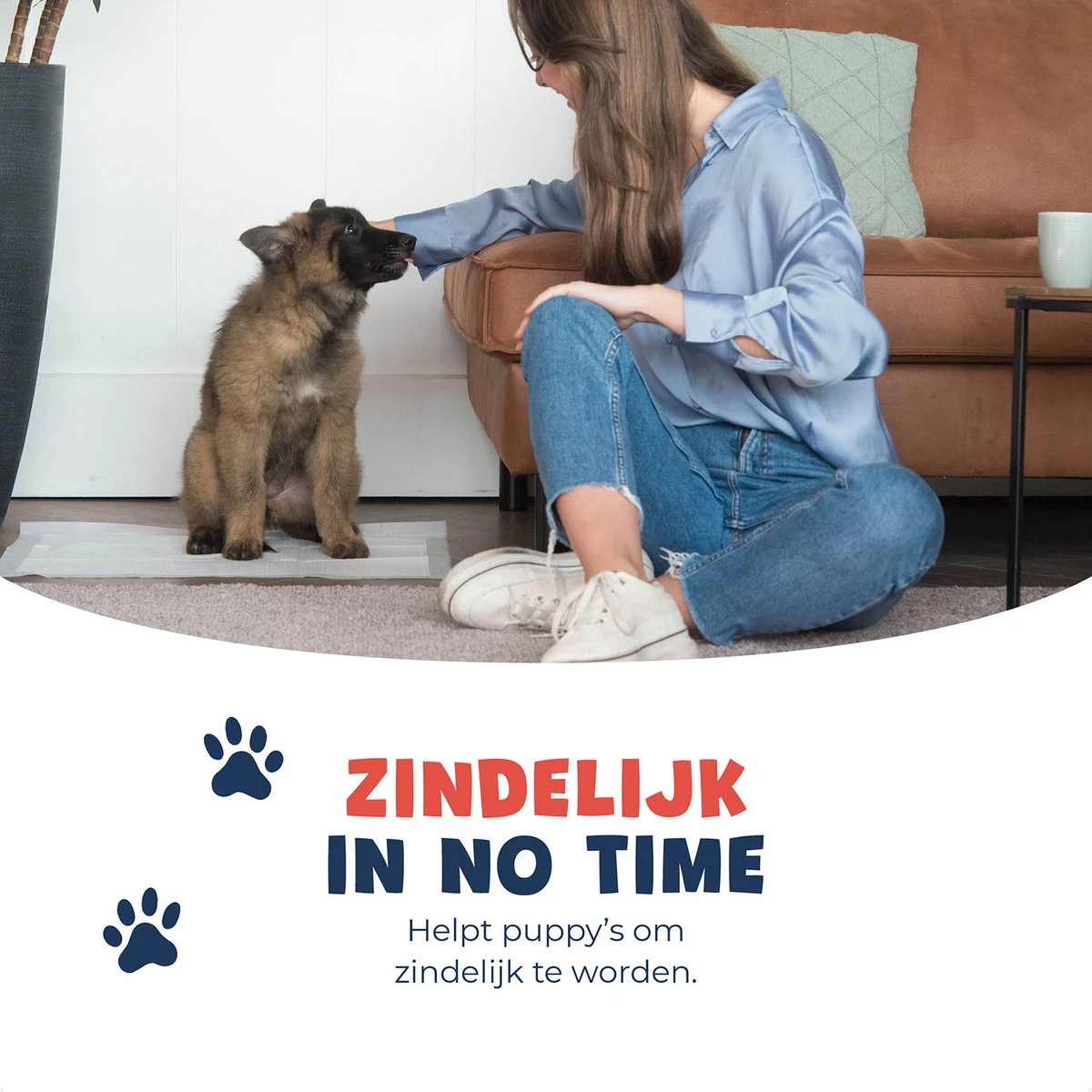 JC Pets Premium Puppy Training Pads - Hondentoilet - Zindelijkheidstraining Hond - 50 Stuks - 60 X 45 Cm 8 JC Pets Premium Puppy Training Pads - Hondentoilet - Zindelijkheidstraining Hond - 50 Stuks - 60 X 45 Cm - Afbeelding 6