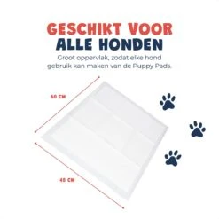 JC Pets Premium Puppy Training Pads - Hondentoilet - Zindelijkheidstraining Hond - 50 Stuks - 60 X 45 Cm 17 JC Pets Premium Puppy Training Pads - Hondentoilet - Zindelijkheidstraining Hond - 50 Stuks - 60 X 45 Cm -Huisdier Verkoop 1200x1200 693