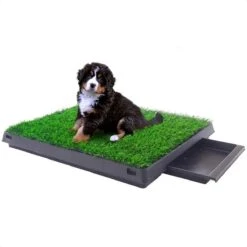 Merkloos Hondentoilet Kunstgras Met Bak - Indoor Dierentoilet - Uitneembare Opvangbak - Puppy Training Pets - Outdoor/Balkon/Tuin/Indoor Toilet - 50x64 Cm 19 Merkloos Hondentoilet Kunstgras Met Bak - Indoor Dierentoilet - Uitneembare Opvangbak - Puppy Training Pets - Outdoor/Balkon/Tuin/Indoor Toilet - 50x64 Cm -Huisdier Verkoop 1200x1200 703
