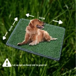Merkloos Gtrise Hondentoilet Met 2 Matten - Out/Indoor - Zindelijkheidstraining Ebook - Dieren Wc 17 Merkloos Gtrise Hondentoilet Met 2 Matten - Out/Indoor - Zindelijkheidstraining Ebook - Dieren Wc -Huisdier Verkoop 1200x1200 707