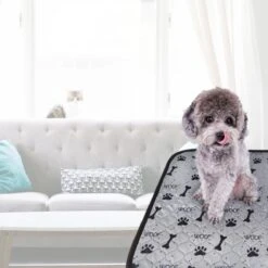 Jooba Puppy Training Pads - Wasbare Puppy Pads 2 Stuks - Hondentoilet - 70x50cm - Puppy 17 Jooba Puppy Training Pads - Wasbare Puppy Pads 2 Stuks - Hondentoilet - 70x50cm - Puppy -Huisdier Verkoop 1200x1200 713