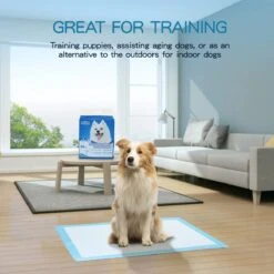 Nobleza 48WQF - Puppy Training Pads - 60 X 90 Cm - Zindelijkheidstraining -50 Stuks - L -Huisdier Verkoop 1200x1200 716