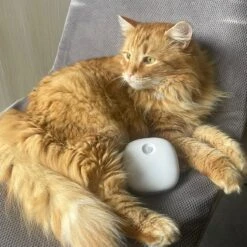 Pettadore Air Insight - Kattenbak Geurverdrijver & Teller - Actieve Zuurstof En Ionen - Oplaadbaar - Met App -Huisdier Verkoop 1200x1200 733