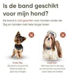 Premium Anti Blafband Apparaat Om Je Hond Snel En Effectief Te Laten Stoppen Met Blaffen - Diervriendelijke Opvoedingshalsband Zonder Schok - Trainingshalsband Voor Grote En Kleine Honden - Anti Blaf Apparaat - Correctie Halsband 13 Premium Anti Blafband Apparaat Om Je Hond Snel En Effectief Te Laten Stoppen Met Blaffen - Diervriendelijke Opvoedingshalsband Zonder Schok - Trainingshalsband Voor Grote En Kleine Honden - Anti Blaf Apparaat - Correctie Halsband -Huisdier Verkoop 1200x1200 760
