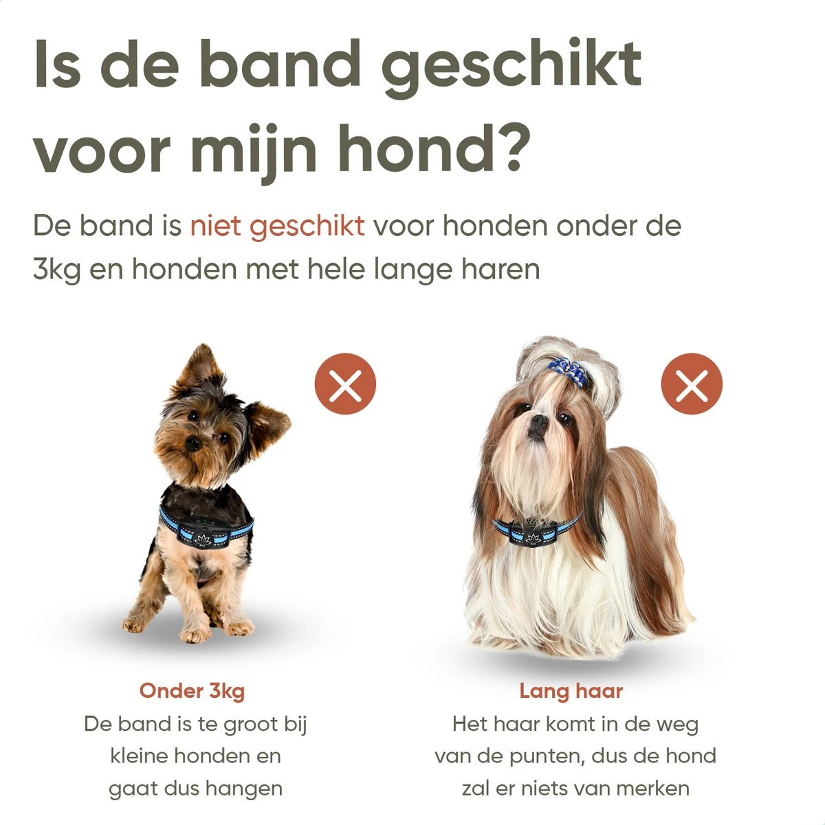 Premium Anti Blafband Apparaat Om Je Hond Snel En Effectief Te Laten Stoppen Met Blaffen - Diervriendelijke Opvoedingshalsband Zonder Schok - Trainingshalsband Voor Grote En Kleine Honden - Anti Blaf Apparaat - Correctie Halsband 5 Premium Anti Blafband Apparaat Om Je Hond Snel En Effectief Te Laten Stoppen Met Blaffen - Diervriendelijke Opvoedingshalsband Zonder Schok - Trainingshalsband Voor Grote En Kleine Honden - Anti Blaf Apparaat - Correctie Halsband - Afbeelding 3