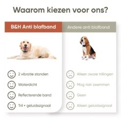 Premium Anti Blafband Apparaat Om Je Hond Snel En Effectief Te Laten Stoppen Met Blaffen - Diervriendelijke Opvoedingshalsband Zonder Schok - Trainingshalsband Voor Grote En Kleine Honden - Anti Blaf Apparaat - Correctie Halsband 16 Premium Anti Blafband Apparaat Om Je Hond Snel En Effectief Te Laten Stoppen Met Blaffen - Diervriendelijke Opvoedingshalsband Zonder Schok - Trainingshalsband Voor Grote En Kleine Honden - Anti Blaf Apparaat - Correctie Halsband -Huisdier Verkoop 1200x1200 763