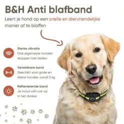 Premium Anti Blafband - Diervriendelijke Opvoedingshalsband Zonder Schok - Trainingshalsband Voor Grote En Kleine Honden - Anti Blaf Band - Correctie Halsband -Huisdier Verkoop 1200x1200 779