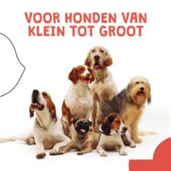 JC Pets Ultrasone Anti Blaf Apparaat Voor Kleine En Grote Honden - Oplaadbaar - Alternatief Anti Blafband Voor Honden - Diervriendelijk & Zonder Schok -Huisdier Verkoop 1200x1200 787