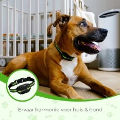 Petz - Anti Blafband - Anti Blafband Voor Kleine En Grote Honden - 5-55 KG - Vibratie En Audio - Diervriendelijk - GEEN Schokken - Opvoedingshalsband Zonder Schok En Diervriendelijk - Waterdicht - Oplaadbaar -Huisdier Verkoop 1200x1200 799
