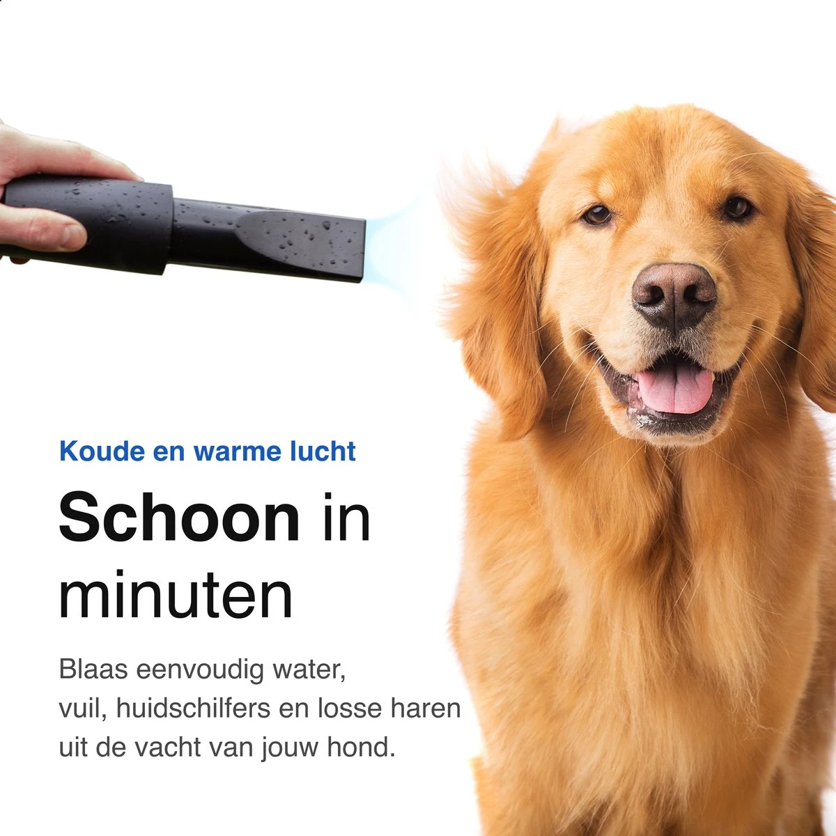 Vivid Green Waterblazer Met 3 Opzetstukken - Hondenfohn - Voor Honden - Met Geluiddemper - 2800W 8 Vivid Green Waterblazer Met 3 Opzetstukken - Hondenfohn - Voor Honden - Met Geluiddemper - 2800W - Afbeelding 6