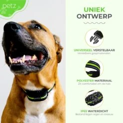 Petz - Anti Blafband - Anti Blafband Voor Kleine En Grote Honden - 5-55 KG - Vibratie En Audio - Diervriendelijk - GEEN Schokken - Opvoedingshalsband Zonder Schok En Diervriendelijk - Waterdicht - Oplaadbaar -Huisdier Verkoop 1200x1200 800