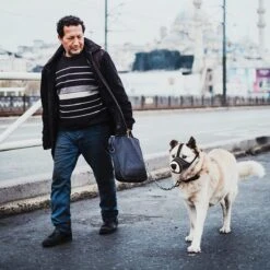 Merkloos Hoog Kwaliteit Muilkorf Met Bedrukt Patroon - Muilkorf Hond - Hondensnuit - Anti Blaf En Bijt - Voor Kleine En Grote Honden Maat M Zwart Reflecterend 14 Merkloos Hoog Kwaliteit Muilkorf Met Bedrukt Patroon - Muilkorf Hond - Hondensnuit - Anti Blaf En Bijt - Voor Kleine En Grote Honden Maat M Zwart Reflecterend -Huisdier Verkoop 1200x1200 867