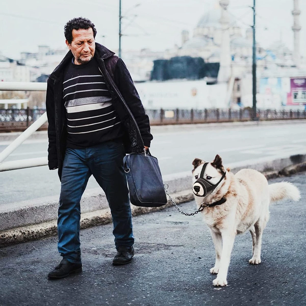 Merkloos Hoog Kwaliteit Muilkorf Met Bedrukt Patroon - Muilkorf Hond - Hondensnuit - Anti Blaf En Bijt - Voor Kleine En Grote Honden Maat M Zwart Reflecterend 8 Merkloos Hoog Kwaliteit Muilkorf Met Bedrukt Patroon - Muilkorf Hond - Hondensnuit - Anti Blaf En Bijt - Voor Kleine En Grote Honden Maat M Zwart Reflecterend - Afbeelding 6