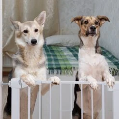 Nobleza 47B4V - Hondenhek - Metaal - H76 X L75-82 Cm - Wit -Huisdier Verkoop 1200x1200 882