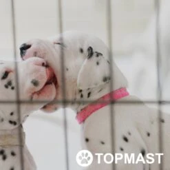 Topmast Puppyren Uitvouwbaar - Zwart - 560 Cm Omtrek - 60 Cm Hoog - Opvouwbaar XL - Hondenren -Huisdier Verkoop 1200x1200 966